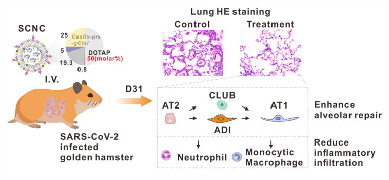 Publications | DONG LAB