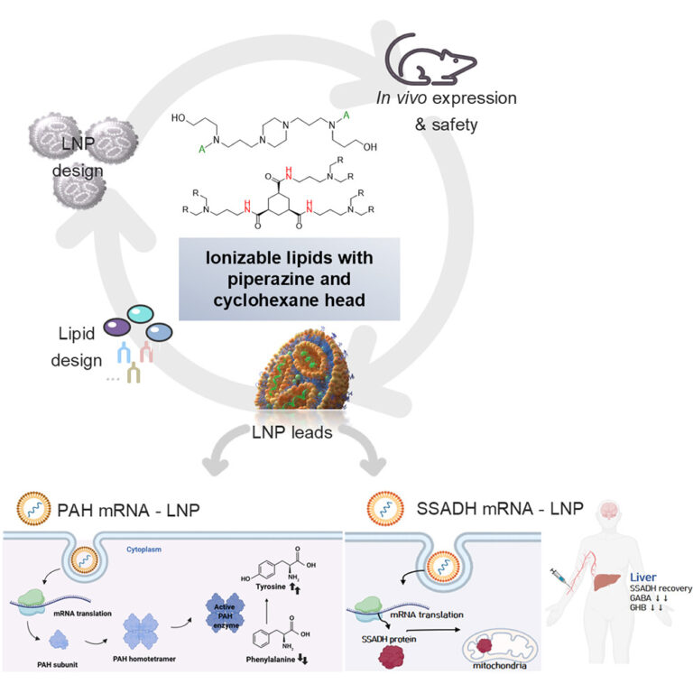 Publications | DONG LAB