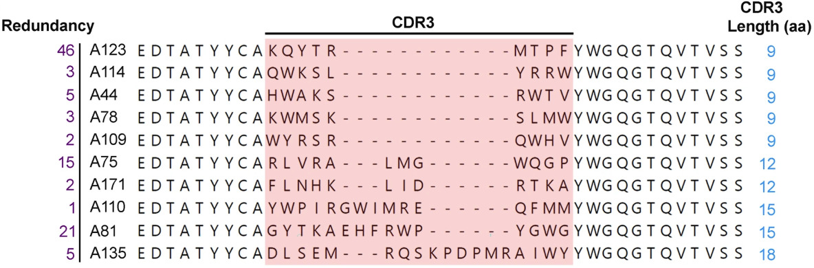 Publications | DONG LAB
