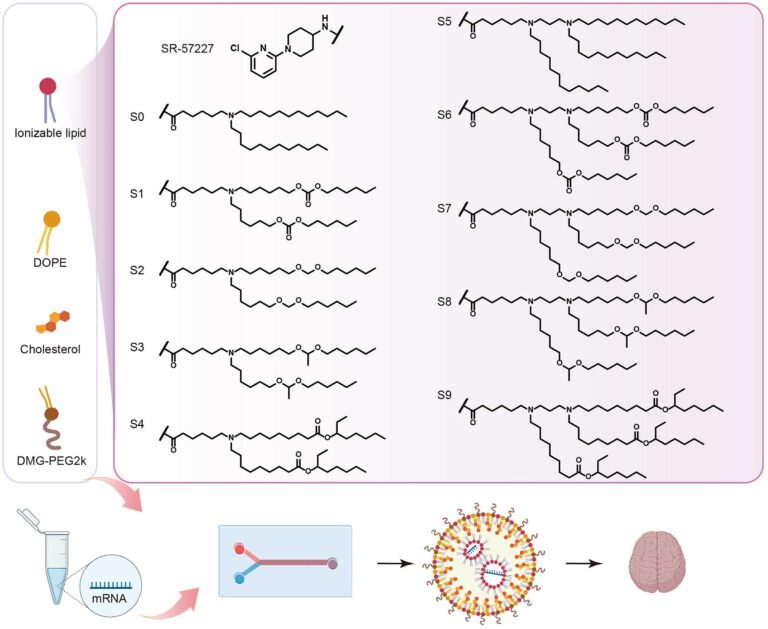 Publications | DONG LAB