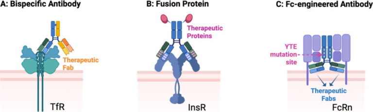 Publications | DONG LAB