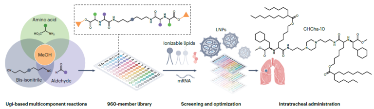 Publications | DONG LAB