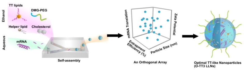 An Orthogonal Array Optimization of Lipid-like Nanoparticles for mRNA Delivery in Vivo